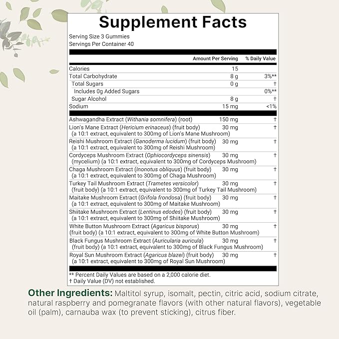 Micro Ingredients Mega Mushroom Gummies | 10-in-1 with Lions Mane, Turkey Tail, Reishi, Cordyceps, Chaga, Maitake, & Ashwagandha | Sugar-Free Raspberry Pomegranate Flavor | Non-GMO | 120 Count