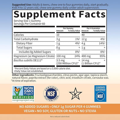 Garden of Life Magnesium Citrate Supplement Gummies with Prebiotics & Probiotics for Stress,Sleep & Recovery - Vegan,Gluten Free,Kosher,Non-GMO,No Added Sugars,Peach Flavor,60 Count (Pack of 2)