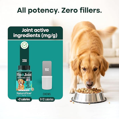Natureflow Hip & Joint Supplement for Dogs, 300mg Green-Lipped Mussel for Dog Arthritis Pain Relief, Glucosamine, MSM & Chondroitin, Zero Sugar, Large Medium Small Breeds, 50 Chewable Tablets