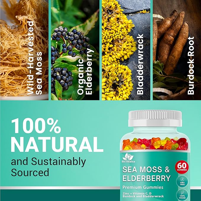 BIO VITALICA Irish Sea Moss Gummies with Elderberry – USA Made Vegan Gummies with Vitamin C, D & Zinc – Immune Support Supplement with Bladderwrack & Burdock Root for Adults & Kids – 6 Packs