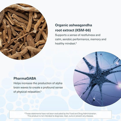 Youtheory Ashwagandha + GABA - Adaptogenic Blend with Organic KSM-66 & Ginger - Aids Stress Relief & Mood* - Supports Energy Levels* - 60 Vegetarian Capsules (30-Day Supply)*