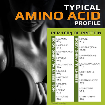 MFL Muscle Whey Protein l 28g of Protein l 8g BCAAs l Keto Friendly l Low Carbs l 5 lbs. (Chocolate Lava)