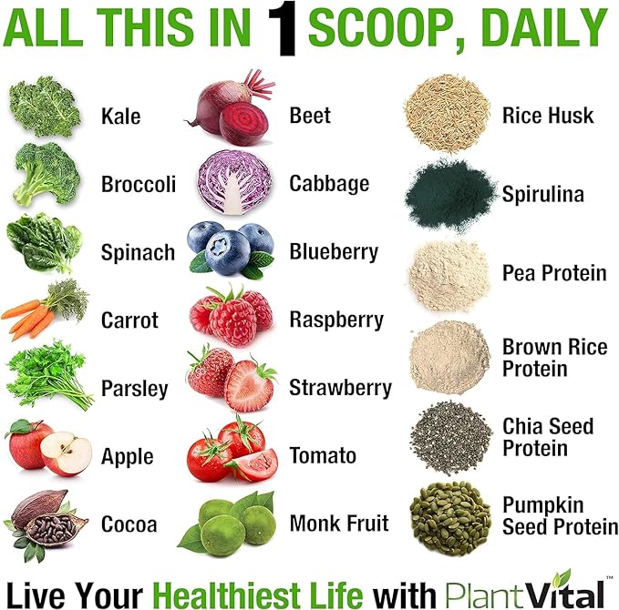Plantvital Vegan Protein Powder Plant Based, Organic Protein Powder Chocolate 24g/0g Sugar, 12 Superfoods, Veggies, Probiotics, Raw Cocoa, Kale, Beets, Spirulina, Pea, Gluten-Free, Keto-Friendly,32oz
