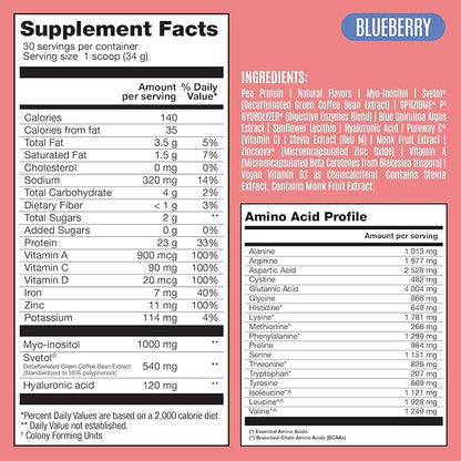 BIRDMAN Fitmingo Vegan Protein Powder with Inositol, Collagen Boosters, Hyaluronic Acid and Vitamins | Low Carb, Dairy Free, Lactose Free, Low Calorie, 23g Plant Based Blueberry Protein Powder