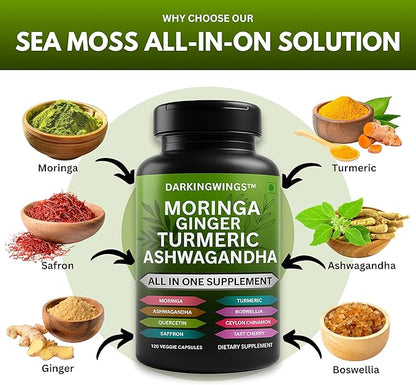 Turmeric Curcumin Moringa Supplement Ginger Boswellia Saffron - Joint Support Supplements for Women and Men with Ceylon Cinnamon, Tart Cherry, Quercetin Garlic Nettle Holy Basil - 120 Count