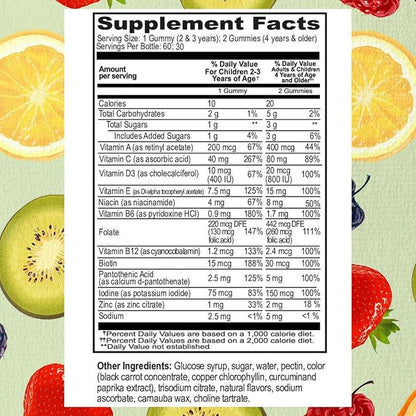 Go Healthy Kids Multivitamin Gummies, Immune Support, Kids Vitamin Gummies, Kosher Kid Vitamin, Halal, Non-GMO, Gluten-Free Tasty Gummy - 30 Servings