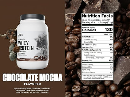 Levels Grass Fed Whey Protein Powder, No Artificials, 24G of Protein, Chocolate Mocha, 2LB