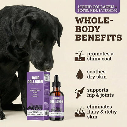 Back 40 Dogs Premium Grass-Fed Liquid Collagen for Dogs Skin and Coat, Hips and Joints | Allergy Relief with Biotin, Vitamin C and MSM for Joint, Nails & Immunity | Made in USA