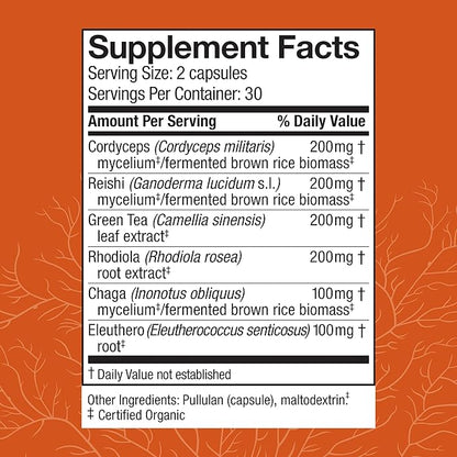 Host Defense MycoBotanicals Energy* Capsules - Energy & Respiratory Support Supplement - Herbal Green Tea Capsules - Respiratory Supplement with Cordyceps, Reishi & Chaga - 60 Capsules (30 Servings)*