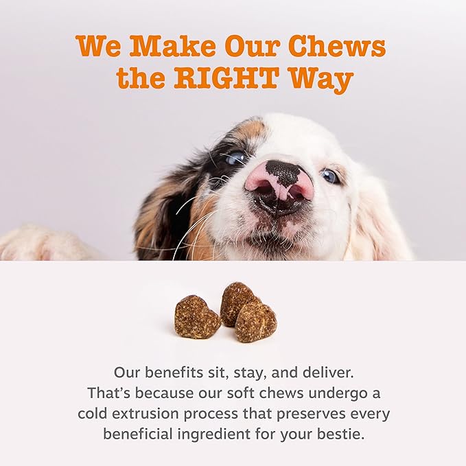 Zesty Paws Probiotics for Dogs - Digestive Enzymes for Gut Flora, Digestive Health, Diarrhea & Bowel Support - Clinically Studied DE111 - Dog Supplement for Pet Immune System – Pumpkin – Pack of 2