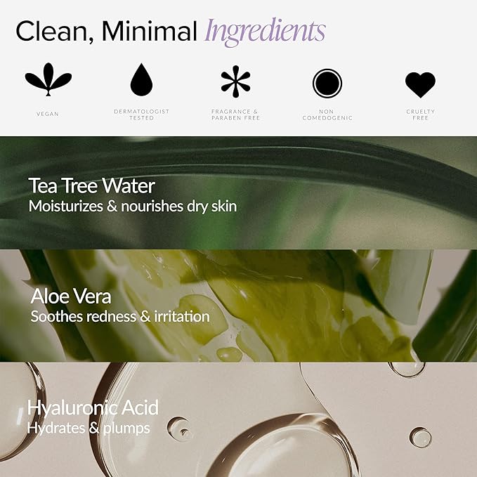 Beia Feminine Wipes Individually Wrapped - Odor Control pH Balancing Intimate Wipes for Women Hygiene with Aloe Vera & Green Tea - Fragrance Free & Vegan for Full Body & Face - 15 Refresh Travel Wipes