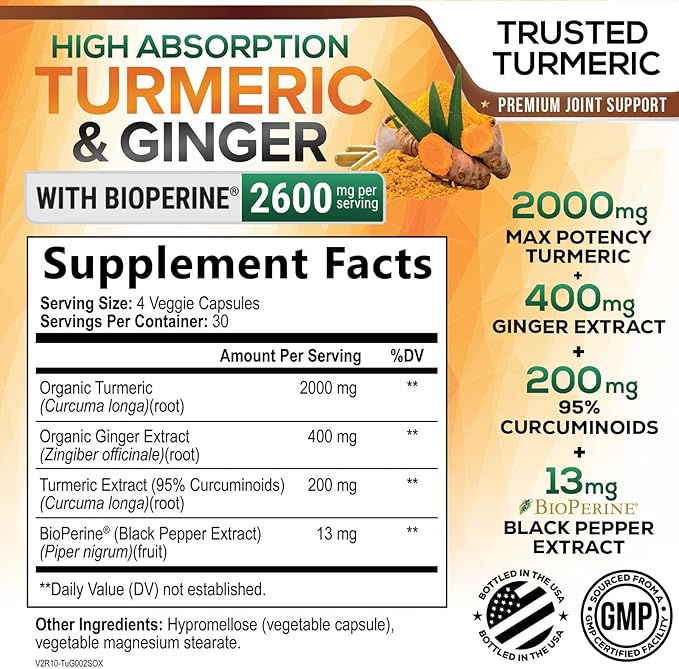 Turmeric Curcumin Supplement - 2000mg Organic Turmeric Per Serving - 95% Curcuminoids, Ginger & BioPerine Black Pepper for Best Absorption - Natural Vegan Joint Support, Bottled in USA - 120 Capsules