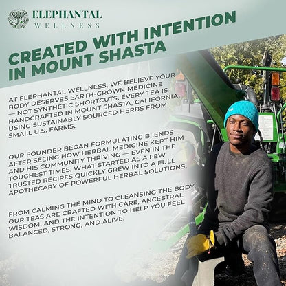 Elephantal Wellness Premium Detox Herbal Tea | Daily Liver, Kidney, Blood & Digestive Support with Turmeric, Milk Thistle, Dandelion & Burdock | Non-GMO, Handmade, Caffeine-Free Loose Leaf Blend - 4oz, 40 Servings