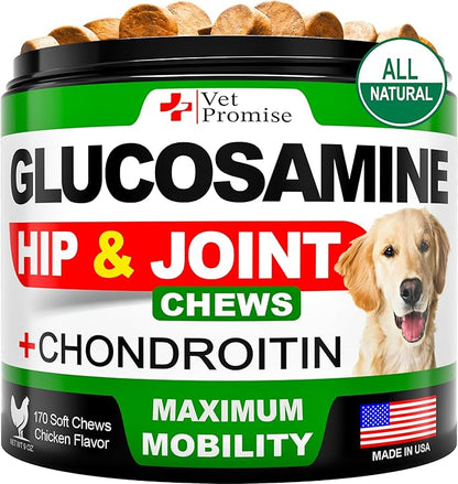 Glucosamine for Dogs - Hip and Joint Supplement for Dogs - Glucosamine Chondroitin - Joint Pain Relief Pills - MSM - Advanced Health Support Supplement - 170 Mobility Chews - Made in USA