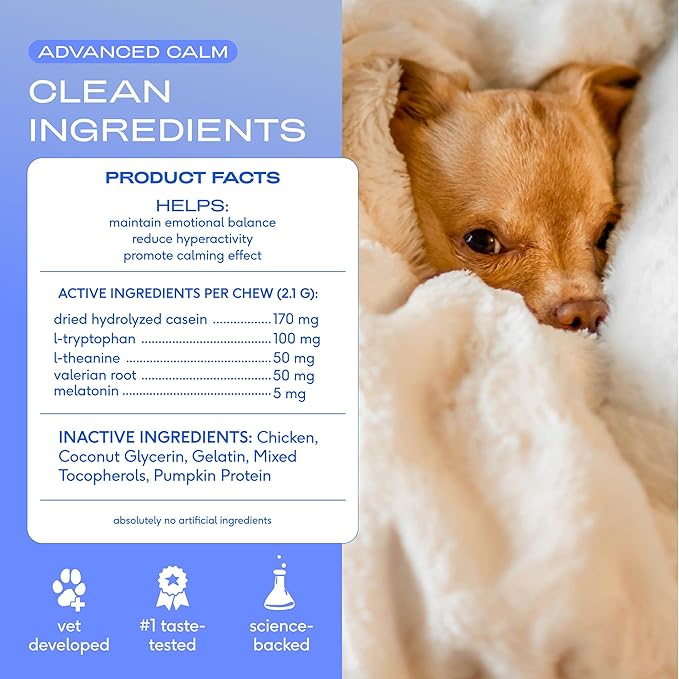 Native Pet Advanced Calming Chews for Dogs Large Breed - Anxiety Relief, Stress, Separation & Sleep Support with Melatonin for Dogs, Hydrolyzed Casein, Valerian Root & L-Tryptophan - 30 Days Supply
