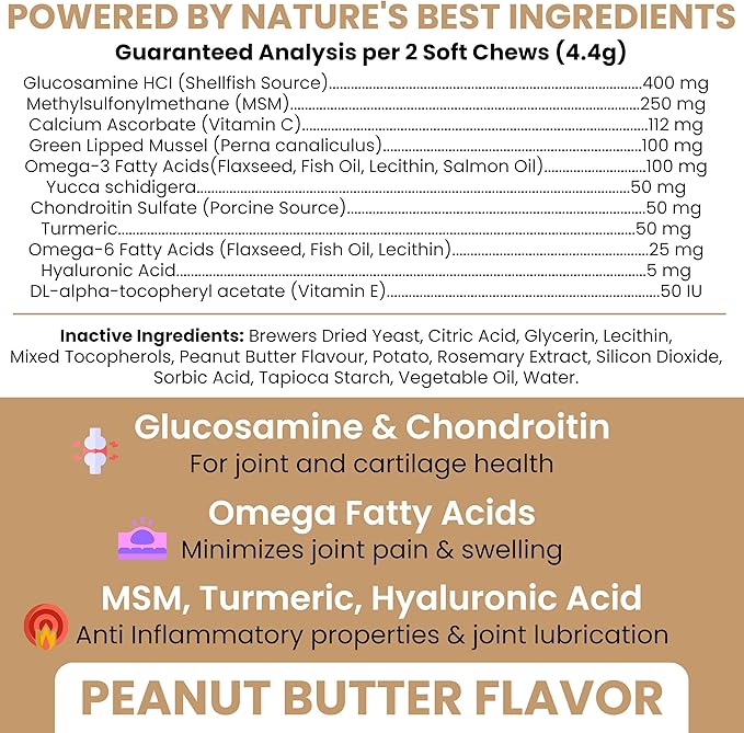 Glucosamine for Dogs Hip and Joint Supplement -240 Soft Chews for Senior Dogs with Glucosamine, Chondroitin, MSM, and Omegas -Mobility, Cartilage, Joint Health -Peanut Butter Flavor (2 Jars of 120)