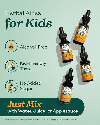 Kids Fast Asleep – Tasty, Organic, Alcohol-Free Kids Sleep Support Herbal Extract With Lemon Balm, California Poppy & Passionflower, Soothes Nap & Nighttime Transitions, Vegan, 1 Oz