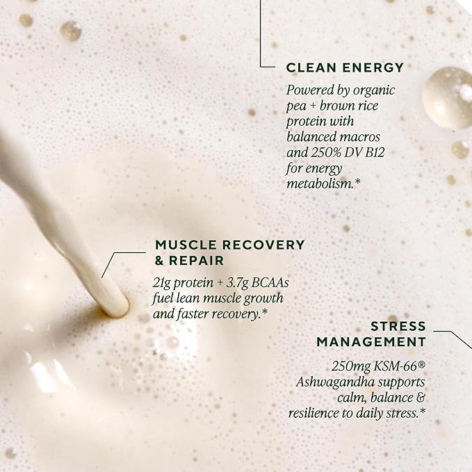 OM MUSHROOM SUPERFOOD Master Blend Vegan Protein – Organic Vanilla Plant Protein with 10 Mushrooms, Ashwagandha, BCAAs & B12 – Energy, Recovery & Immune Support – 10 Single Serves