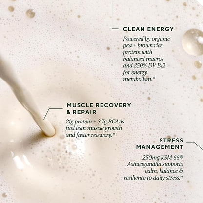 OM MUSHROOM SUPERFOOD Master Blend Vegan Protein – Organic Vanilla Plant Protein with 10 Mushrooms, Ashwagandha, BCAAs & B12 – Energy, Recovery & Immune Support – 10 Single Serves