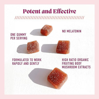Microjoy Hibernate Gummies – Natural Sleep Aid with Reishi Mushroom – Stress Relief and Mood Support – Vegan, Non-GMO, Cherry Flavor (30 Gummies)