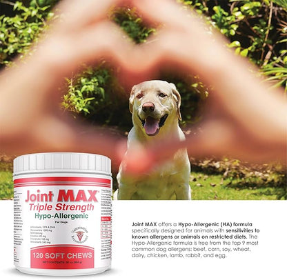 Triple Strength Hypo-Allergenic Soft Chews for Dogs - Hip and Joint Support Supplement with Glucosamine, Chondroitin, & MSM - Made in The USA - 120 Soft Chews