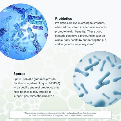 Youtheory Spore Probiotic Gummies - Supplement for Gut Health Support* - with Bacillus coagulans (is-2) - Supports Diarrhea Relief & Regular Bowel Movement* - Sugar Free - 60 Gummies (30-Day Supply)