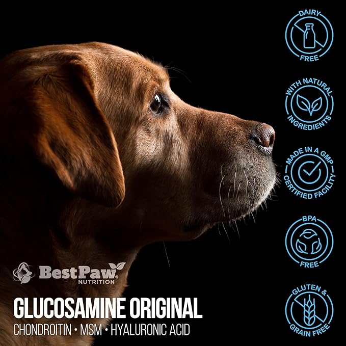 Best Paw Nutrition Glucosamine Chondroitin for Dogs & Cats - Liquid Hip and Joint Supplement with MSM & Hyaluronic Acid - Joint Support for Arthritis, Hip Dysplasia and Pain Relief - 32 oz
