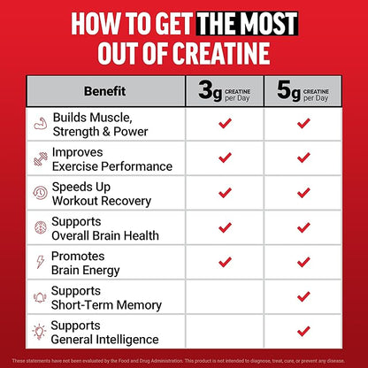 Force Factor Creatine Monohydrate Gummies, NSF Certified, 5g Dose for Men & Women to Support Muscle, Strength, Recovery, Cognitive Health & Memory, Packaging May Vary, Blue Raspberry, 150 Gummies
