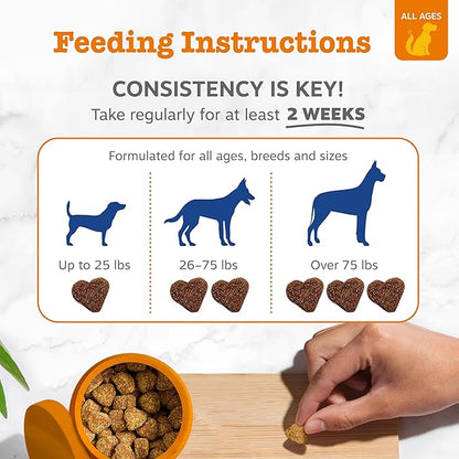 Zesty Paws Dog Multivitamin, Chewable Dog Vitamins and Supplements for Hip & Joints, Skin & Coat, Omega 3 Fish Oil for Dogs- Senior & Puppy Multivitamin - Chicken- 250ct