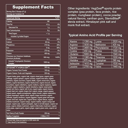 Vegan Sport Protein Powder Chocolate 20 servings – 30g Plant Based Protein, VELOSITOL, BCAAs, Organic Greens & Fruits, Probiotics, Tart Cherry for Post Workout Recovery, Inform Sports Certified Keto