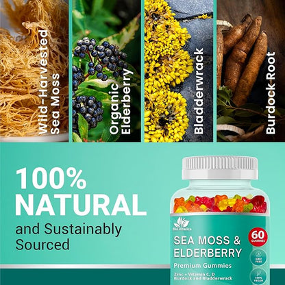 BIO VITALICA Irish Sea Moss Gummies with Elderberry – USA Made Vegan Gummies with Vitamin C, D & Zinc – Immune Support Supplement with Bladderwrack & Burdock Root for Adults & Kids – 5 Pack