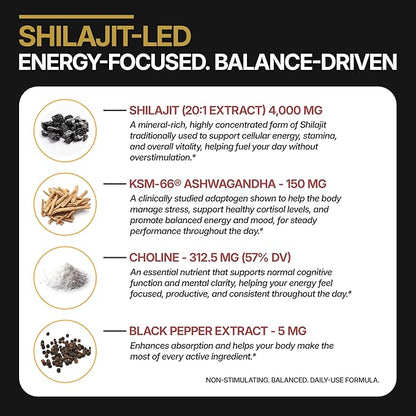 DLNIA 13-in-1 Shilajit Gummies with KSM-66® Ashwagandha | 4000 mg Himalayan Shilajit Extract (20:1), Choline & Botanicals | Sugar-Free, Vegan | Energy, Focus & Daily Vitality Support for Men & Women