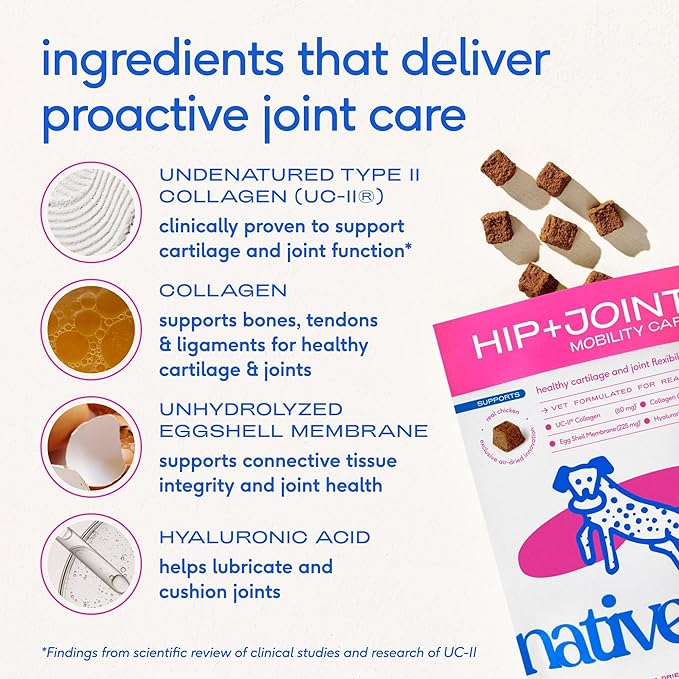 Native Pet Mobility Care - Hip & Joint Supplement for Dogs - UC-II Collagen, Egg Shell Membrane & Hyaluronic Acid - Dog Joint Supplement Chews Supports Cartilage, Mobility & Flexibility - 60 Chews