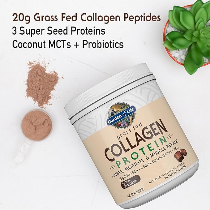 Garden of Life Grass Fed Collagen Protein Powder - Chocolate, 14 Servings, Powder for Joints Mobility Muscle Repair, Collagen Peptides + Super Seeds + Coconut MCTs, Keto Supplement