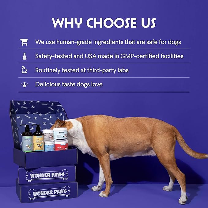 Wonder Paws Melatonin for Dogs – Pet Melatonin with L-Theanine (Suntheanine®) –Occasional Anxiety Relief for Dogs, Stress, Calming, Relaxation & Sleep Support – Liquid Dog Melatonin 2oz (60ml)