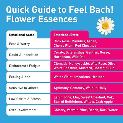 Feel Bach! FeelFit Flower Essence Drops — Natural Homeopathic Dietary Supplement with Flower Essences for Mindful Eating & Healthy Habits, Vegan, Gluten-Free, Sugar-Free, 20 mL (0.7 fl oz)