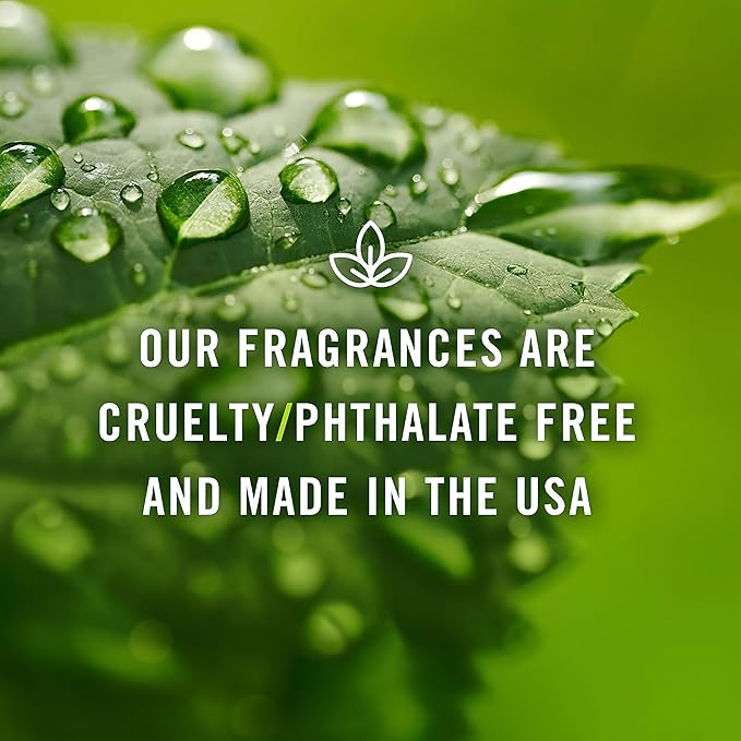 P&J Fragrance Oil - Honeydew 100ml - Candle Scents, Soap Making, Diffuser Oil, Fresh Scents