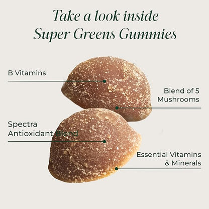 Primal Harvest Super Greens Gummies, Superfood Blend with Adaptogenic Mushrooms Vitamins & Nutrient-Rich Minerals & Antioxidants for Energy & Immune Support (1 Pack (60 Count), Berry)