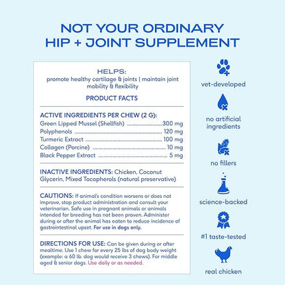 Native Pet Inflammatory Care - Pain Relief for Dogs - Green-Lipped Mussel, Turmeric & Collagen for Dogs - Hip and Joint Supplement Supports Healthy Inflammatory Response & Joint Comfort - 120 Chews
