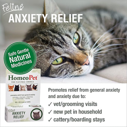 HomeoPet Feline Anxiety Relief, Safe and Natural Pet Stress and Anxiety Support Supplement for Cats, 15 Milliliters