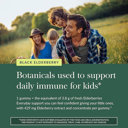 Gaia Herbs Black Elderberry Daily Gummies for Kids - Delicious Immune Support Supplement - Certified Organic Black Elderberries for Immune System Support* - 40 Vegan Gummies (40 Servings)