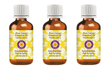 dève herbes Pure Catnip Essential Oil (Nepeta cataria) Steam Distilled (Pack of Three) 100ml X 3 (10 oz)