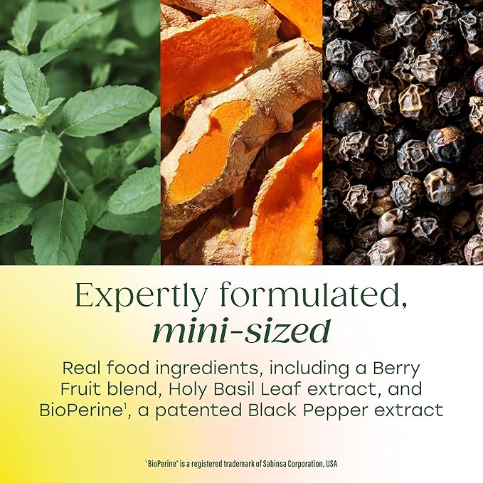 MegaFood Whole Body Minis Turmeric Curcumin Supplement - Turmeric Supplement With Black Pepper - 237 mg Curcuminoids Per Serving - Antioxidant & Immune Support - Vegan - 60 Mini Tablets, 30 Servings