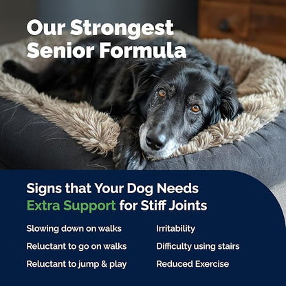 YuMOVE Hip & Joint Supplement for Senior Dogs with Advanced Strength Glucosamine, Omega 3, Hyaluronic Acid, Green Lipped Mussel, & Fish Oil for Dogs - 120 Chewable Tablets