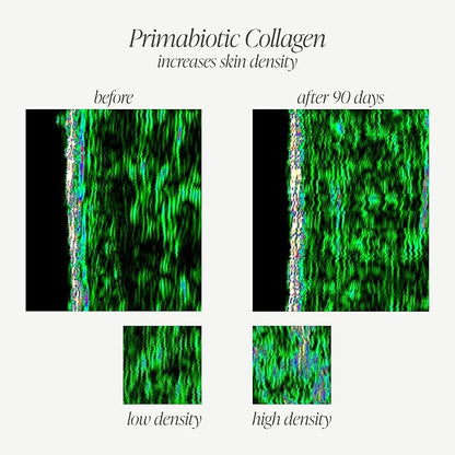 PRIMABIOTIC Liquid Collagen - High Collagen Content [10,000 Mg] Per Serving - Hydrolyzed Collagen and 12 Vitamins - Gluten Free- 450 Ml - Pack of 15 Bottles x 30 Ml