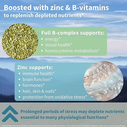 Igennus High Strength Ashwagandha, Magnesium, & L-Theanine Stress Relief Complex, KSM-66 Root Extract Adaptogens, Boosted with Methylfolate, Zinc & Biotin Clean Label, 60 Fast Acting Capsules