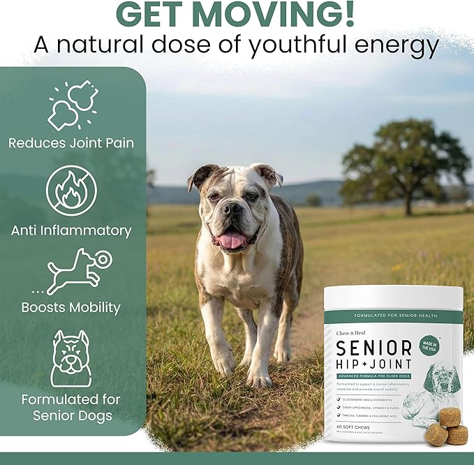 Glucosamine for Dogs Hip and Joint Supplement - 60 Soft Chews for Senior Dogs with Glucosamine, Chondroitin, MSM, and Omegas - For Mobility, Cartilage, and Joint Health - Peanut Butter Flavor