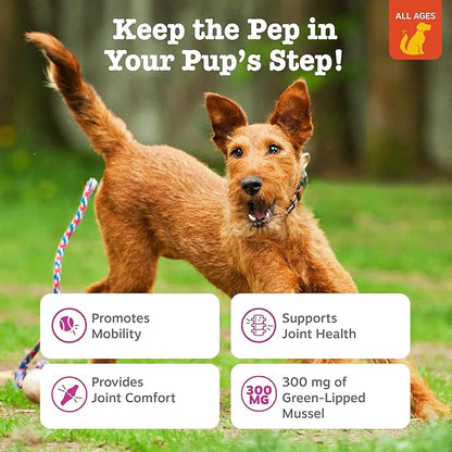 Zesty Paws Mussel Mobility Bites for Dogs - New Zealand Green Lipped Mussel with Natural Glucosamine & Chondroitin + Omega-3 Fatty Acids - Hip & Joint Support Supplement Soft Chews – 90 Count