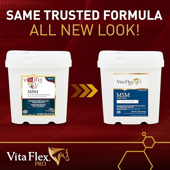Vita Flex MSM Ultra Pure Joint Supplement for Dogs, Horses & Cats, 4 Pounds – MSM Supplement, Powder for Healthy Joints, Collagen & Mobility Support