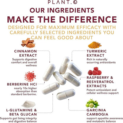 PLANT.O NUTRITION GLP-1 Supplement All in One Appetite Control Metabolic & Gut Support for Men and Women with Pre & Probiotics, Berberine, Cinnamon & Botanicals | 1 Billion CFU – 60 Veggie Capsules